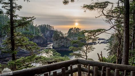 Cape flattery trail. Things To Know About Cape flattery trail. 